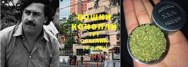 бошки Вяземский