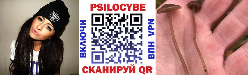 Галлюциногенные грибы прущие грибы  Южа 